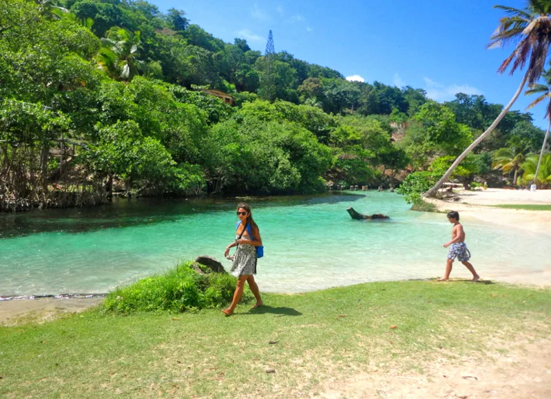 Playa Rincón (Rincon Beach), Half - Day Trip, Samaná - Dominican Republic. - Image 12