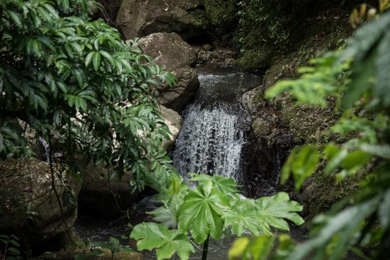 Salto de la Jalda National Park- The highest Waterfall in The Caribbean 272 feet - Image 17