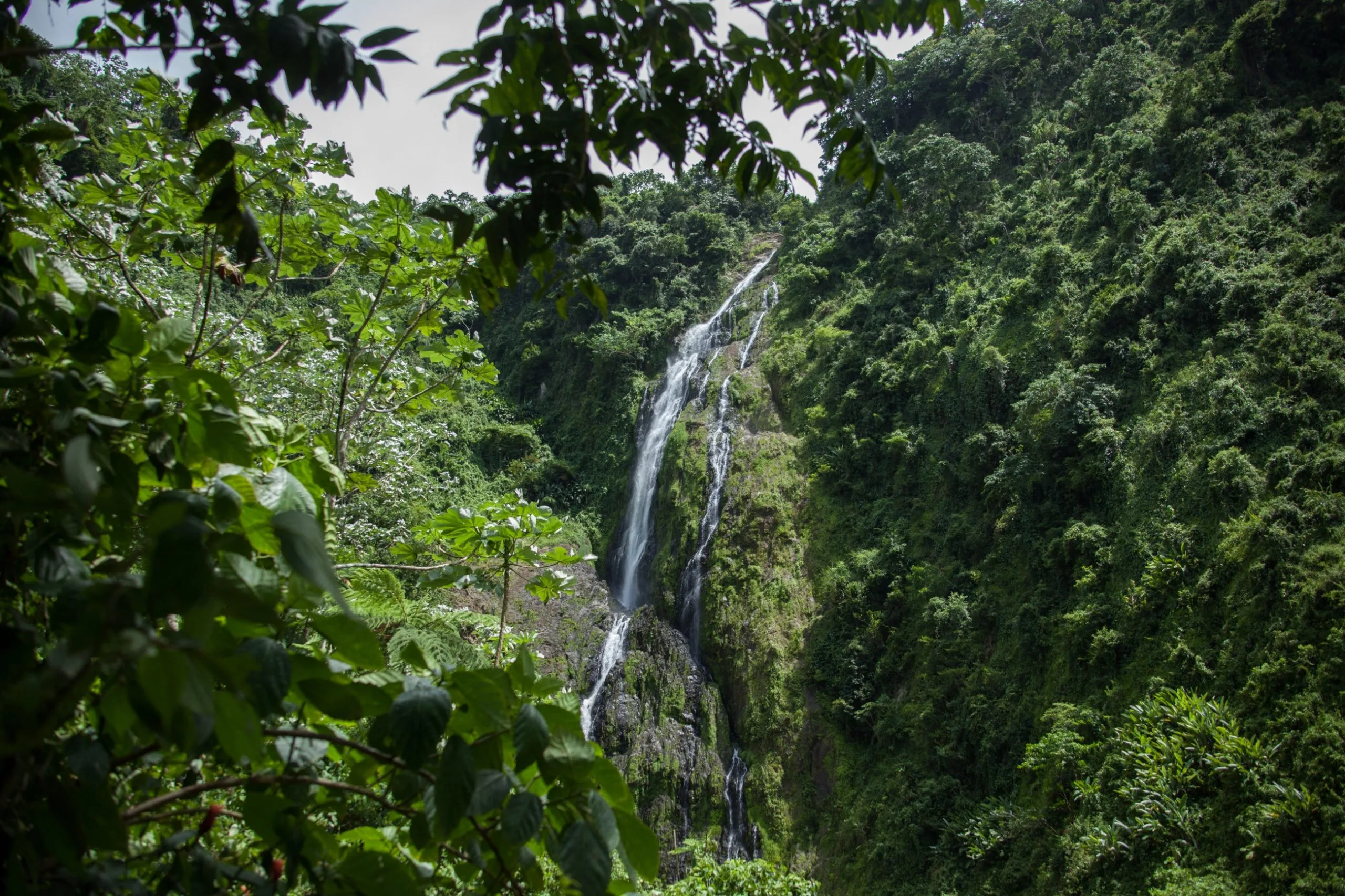 Salto de la Jalda National Park- The highest Waterfall in The Caribbean 272 feet - Image 18